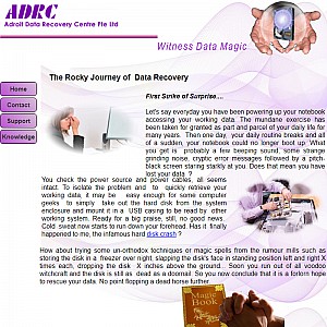Data Recovery, Raid server and Hard Disk data recovery service
