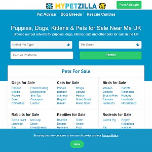 Dog breeds - Mypetzilla UK