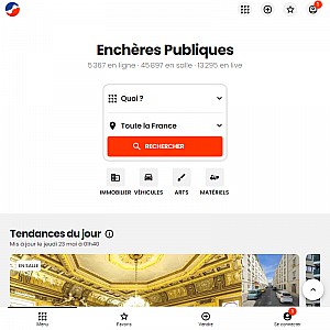 Les Encheres-publiques.com