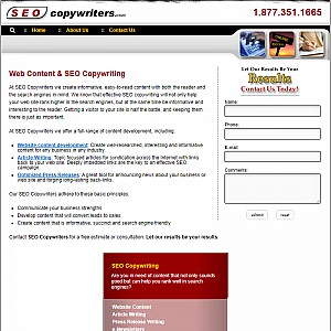 SEO Copywriters - Professional Website Content Writers