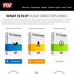 FLV Converter