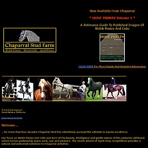 Chaparral Stud Farm - Welsh Ponies, Welsh Cobs & Sport Ponies