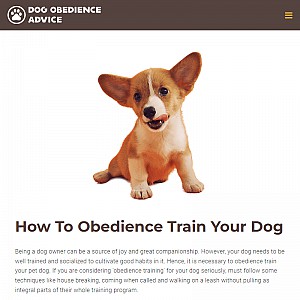 Advice House Breaking Your Dog