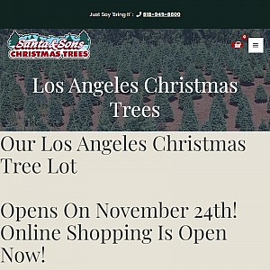 Santa Sons Los Angeles Christmas tree lot