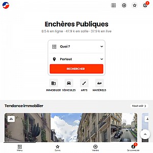 Les Encheres-publiques.com