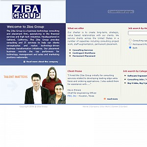 Consulting Services : Permanent Placement and Contingent Staff - Ziba Group
