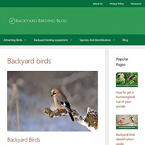 Backyard Birding Blog