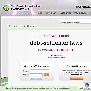 Debt Settlement Information
