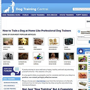 Dog Training Techniques - train your dogs the right way at home.