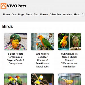 Parrot and Conure World