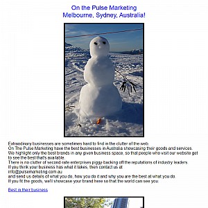 Pulse Marketing Group