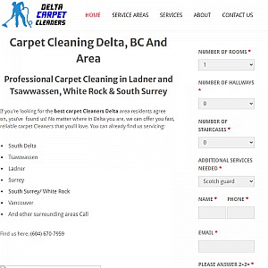 Delta Carpet Cleaners