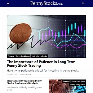 - Peter Leeds - Penny Stocks Professional