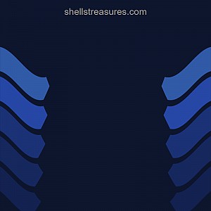 Shells Treasures - Your source of Sea shells and shell crafts