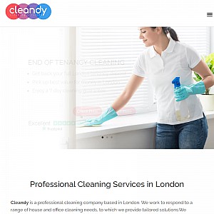 Professional Cleaning Services London by Cleandy