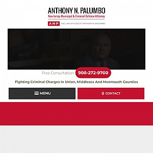 Anthony N. Palumbo Criminal Defense Lawyer, Palumbo & Renaud Law Firm