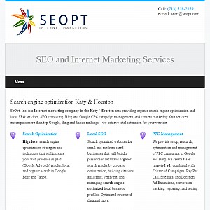 SEO Consulting