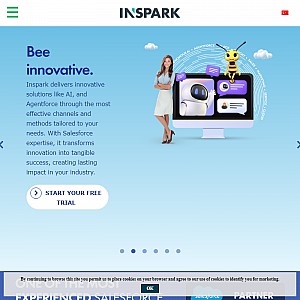 INSPARK Intelligent Business Solutions - Business Software Consultancy Group